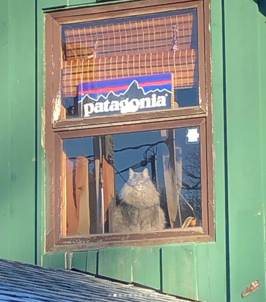 RIP Smokey the Cat.