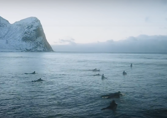 Cold water special - Surfers of Lofoten, Norway - MSW feature film
