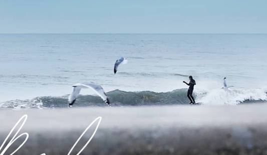 Mikel - 7mm Loggin on the East Coast - Film